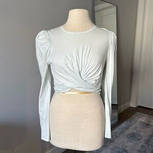 ALC baby blue crop top